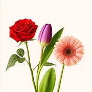 Mixflower-Desk-09April