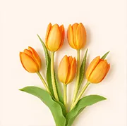 Tulips-Desk-09April