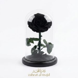 Forever single rose black