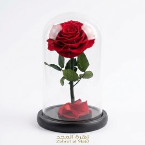 Forever single rose red