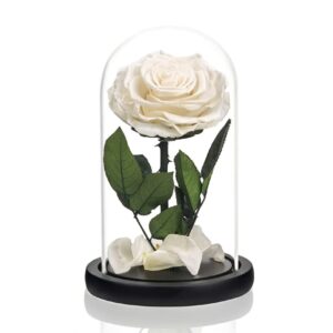 Forever single rose white