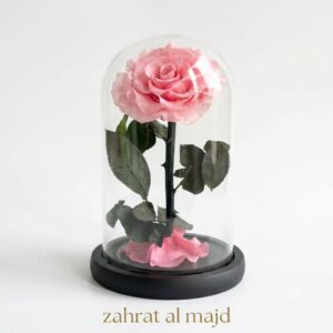 Forever single rose pink