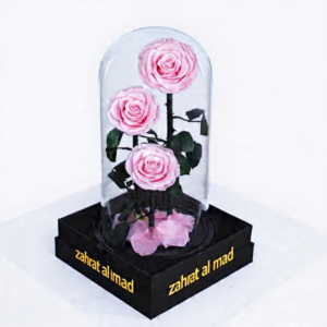 Forever 3pcs pink rose