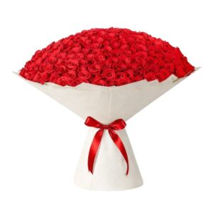 Premium 201 red roses bouquet